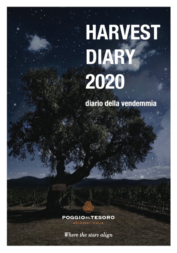 Harvest Diary 2020